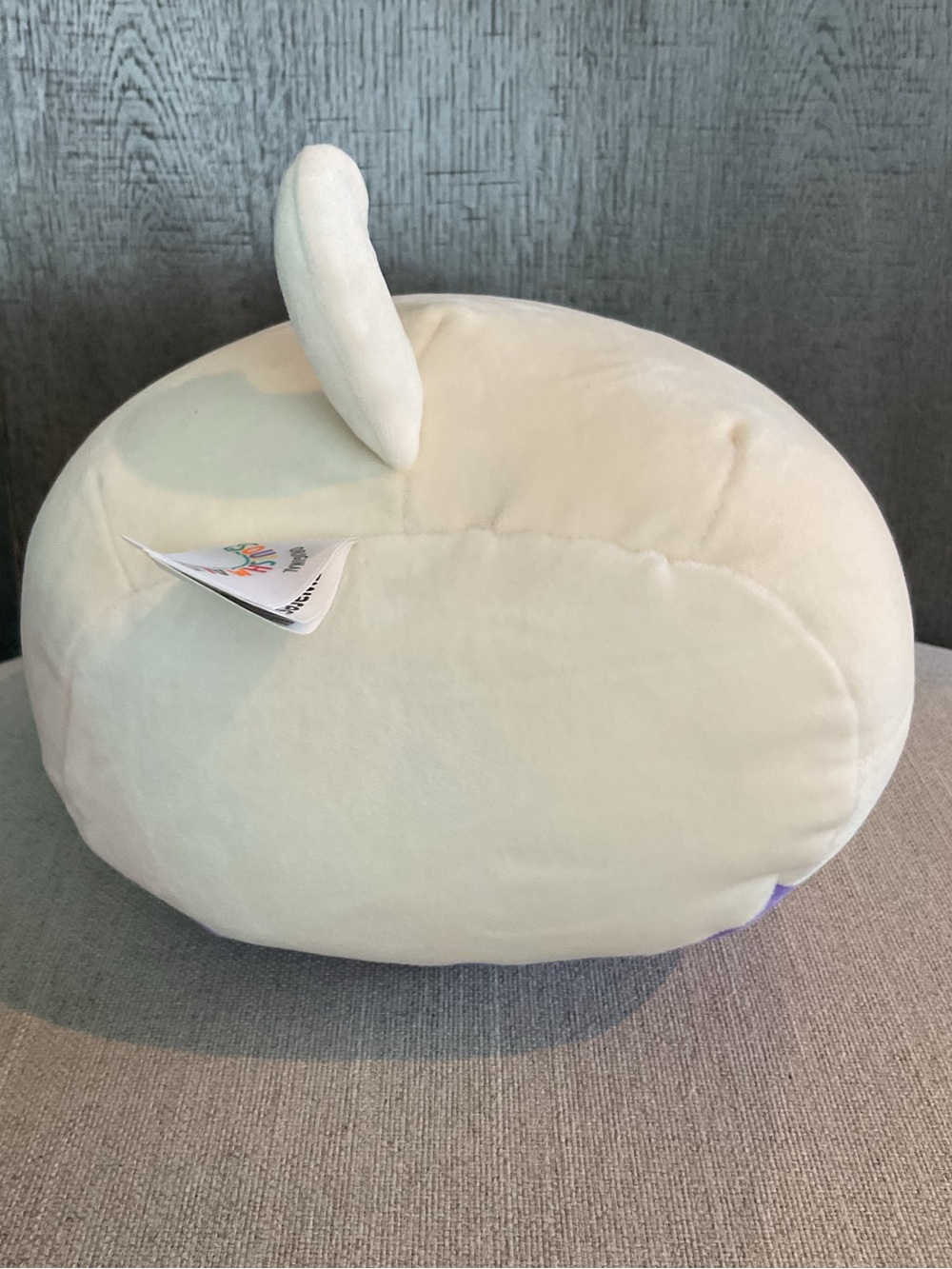 NWT Squishmallows Taghi the Bull Terrier Dog 8" Plush – FLAWED - Picture 6 of 10